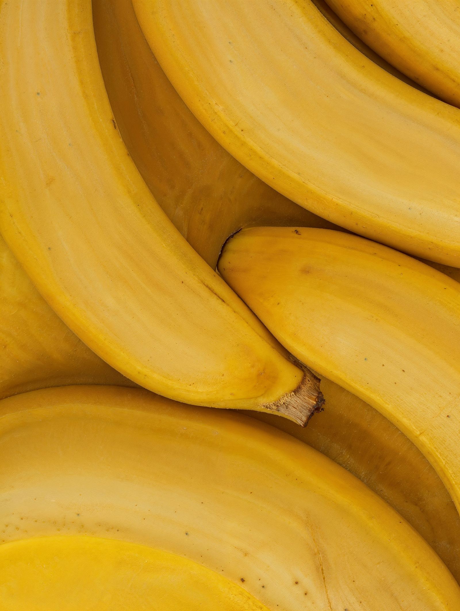 Superior Banana